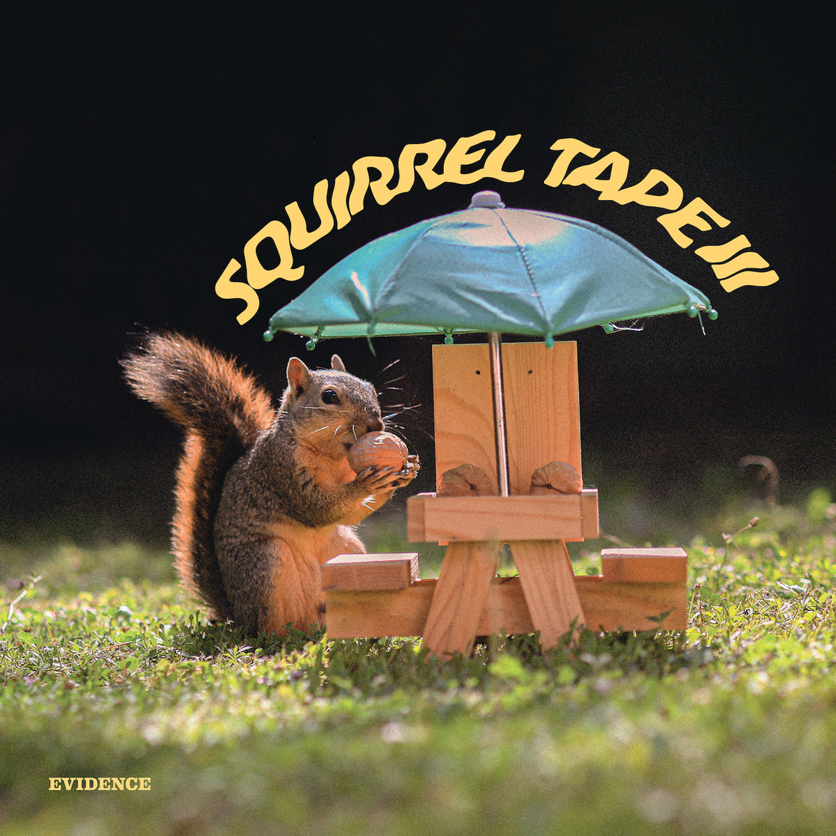 Squirrel Tape Instrumentals Volume 3 (Digital Album
