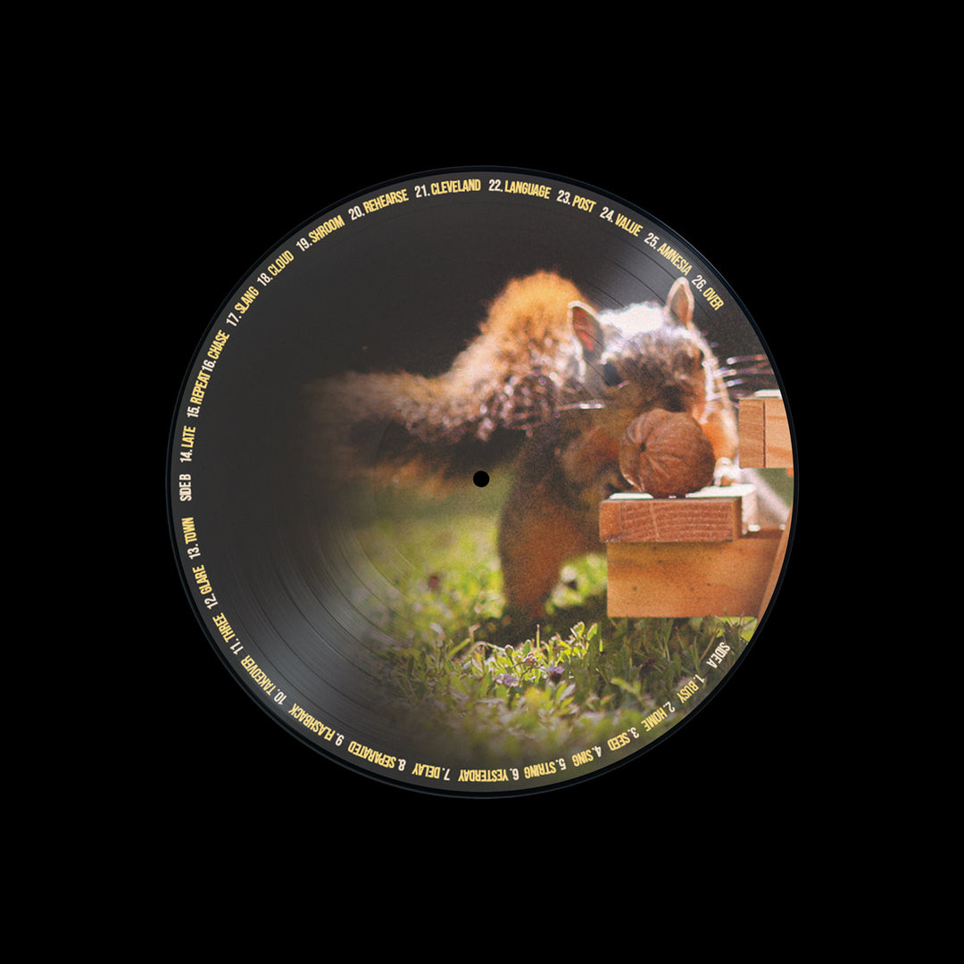 Squirrel Tape Instrumentals Volume 3 (Picture Disc Vinyl LP