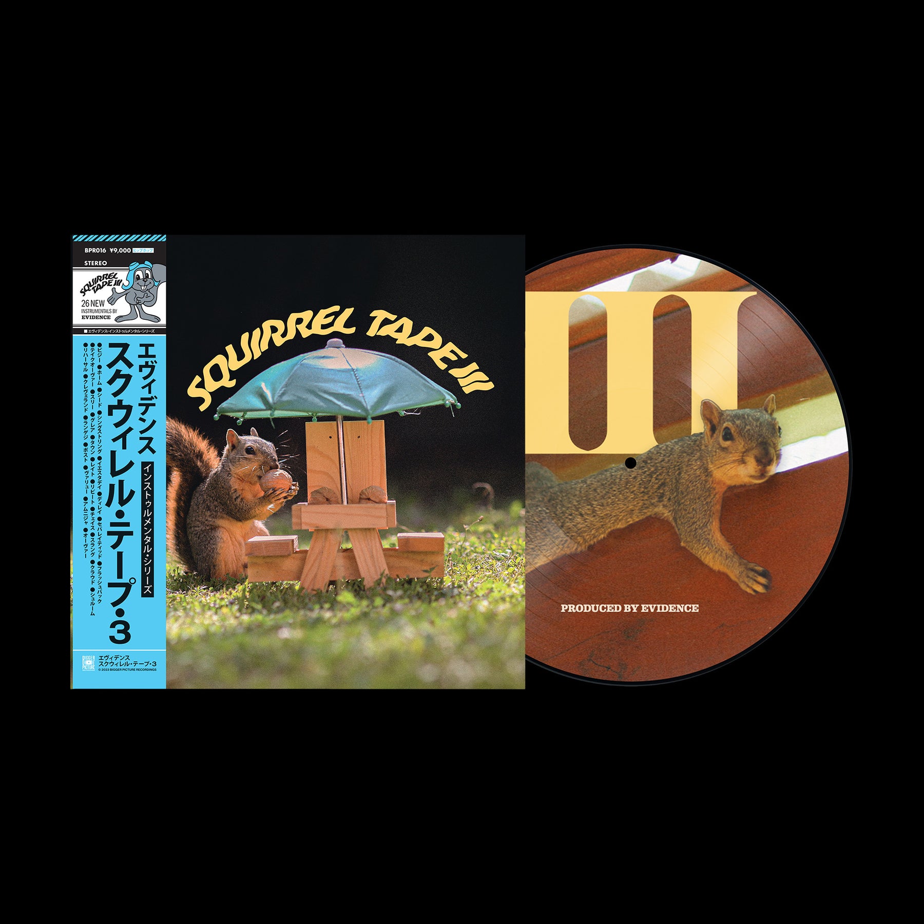 Squirrel Tape Instrumentals Volume 3 (Picture Disc Vinyl LP 